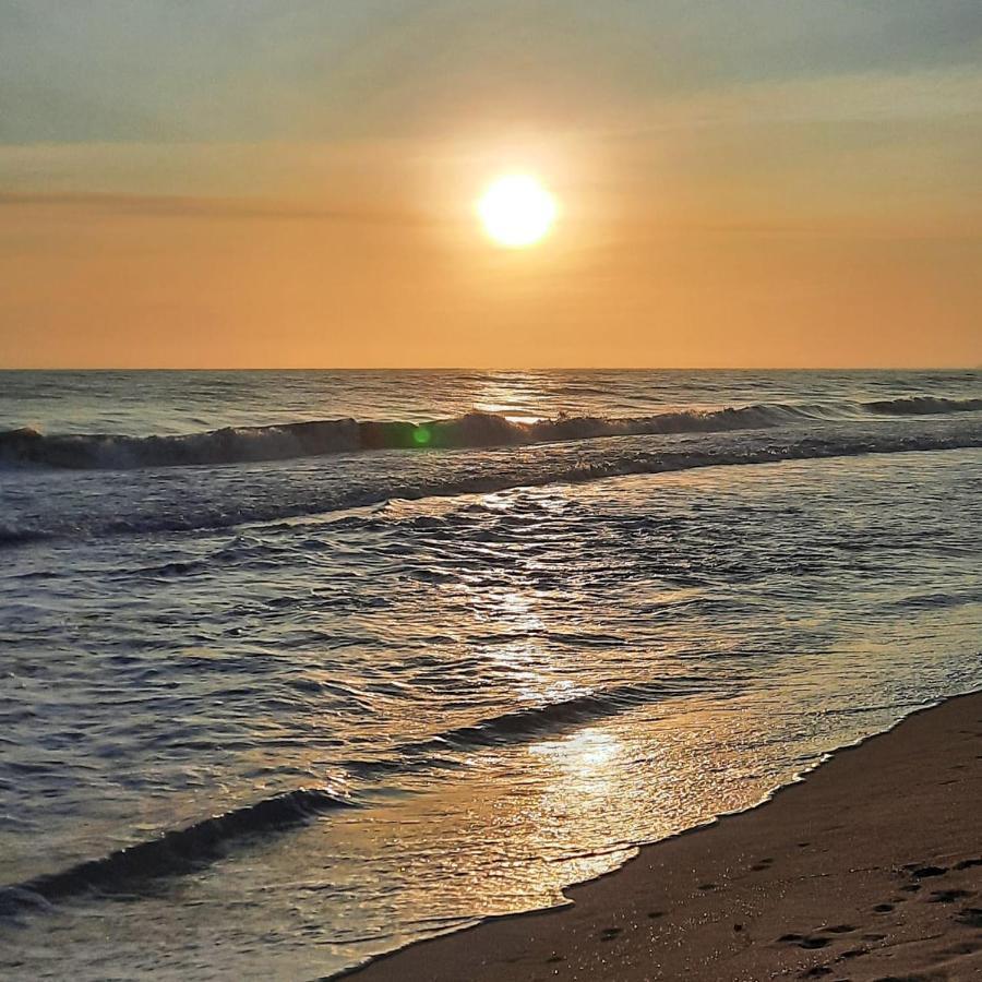 Rincon Del Mar Palomino住宿加早餐旅馆 外观 照片