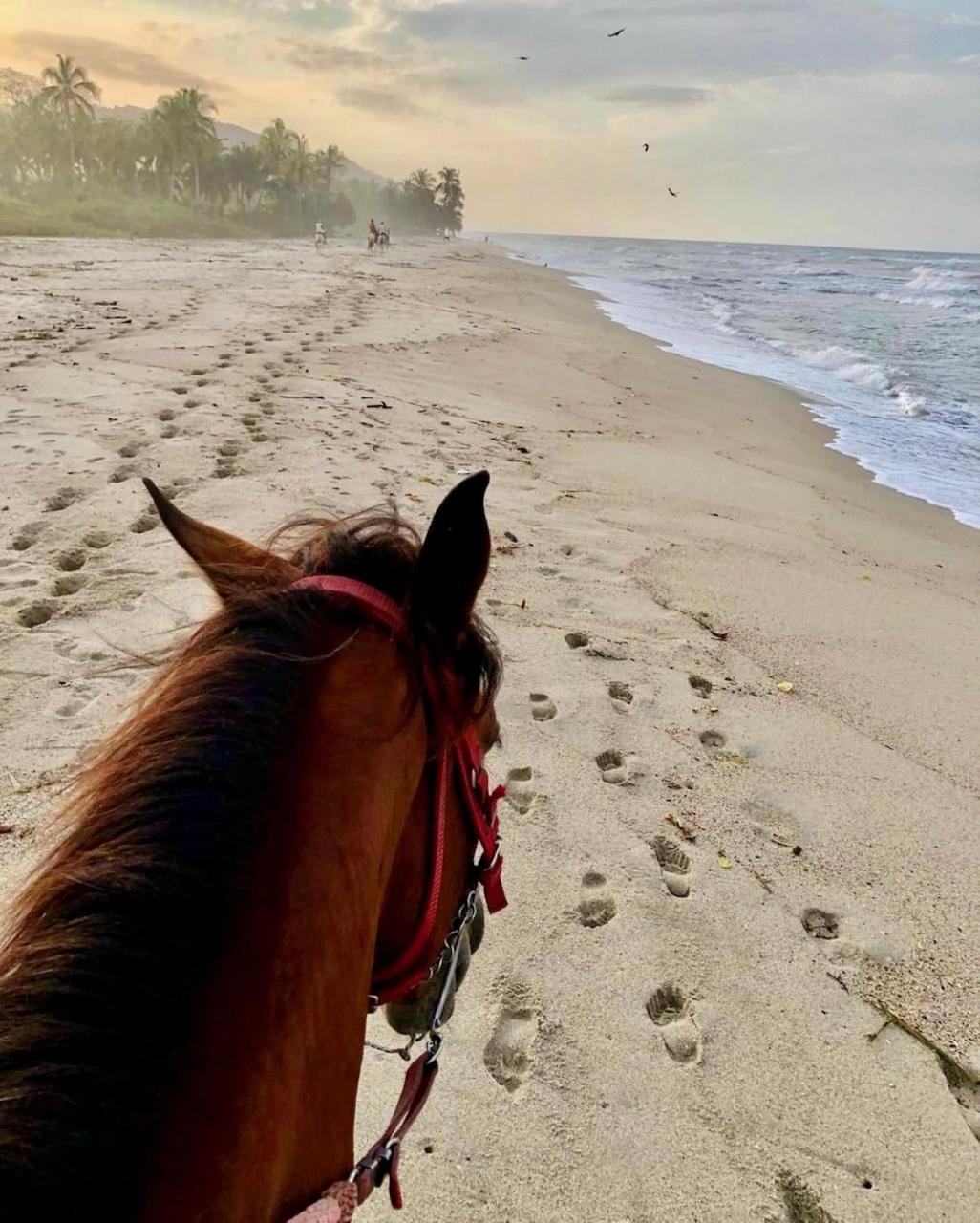 Rincon Del Mar Palomino住宿加早餐旅馆 外观 照片